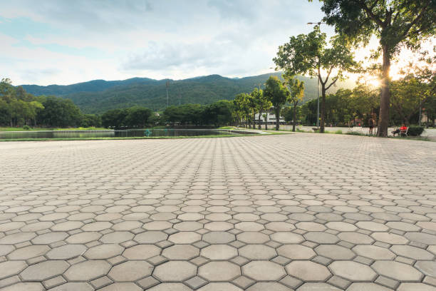 Best Custom Driveway Pavers  in Amherst, TX